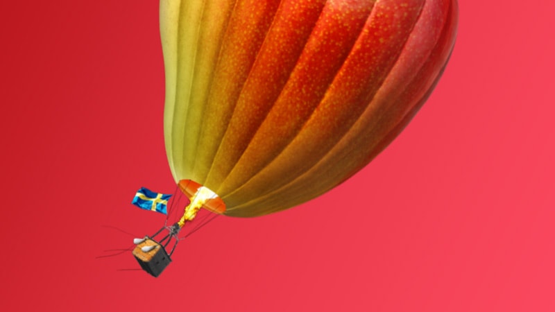 The History of Nicotine Pouches: How Scandinavia Influenced Nicotine Pouches